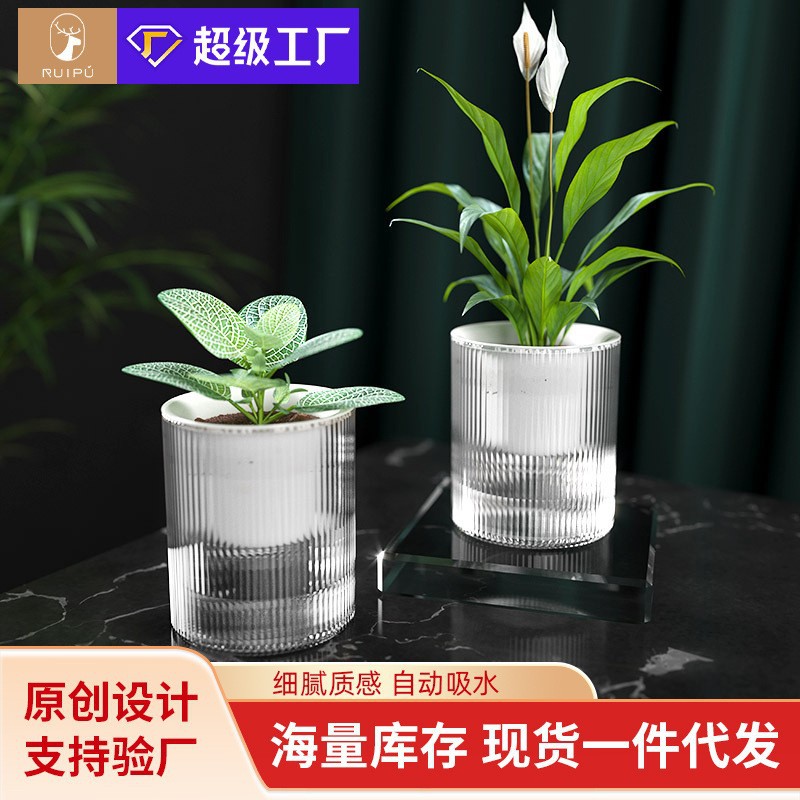 自動吸水花盆 透明儲水綠蘿專用盆