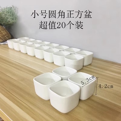 簡約白瓷圓角多肉植物四方盆