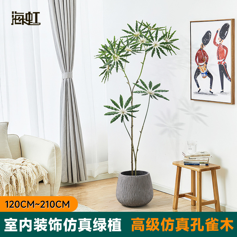 高級仿真孔雀木盆栽 客廳落地裝飾